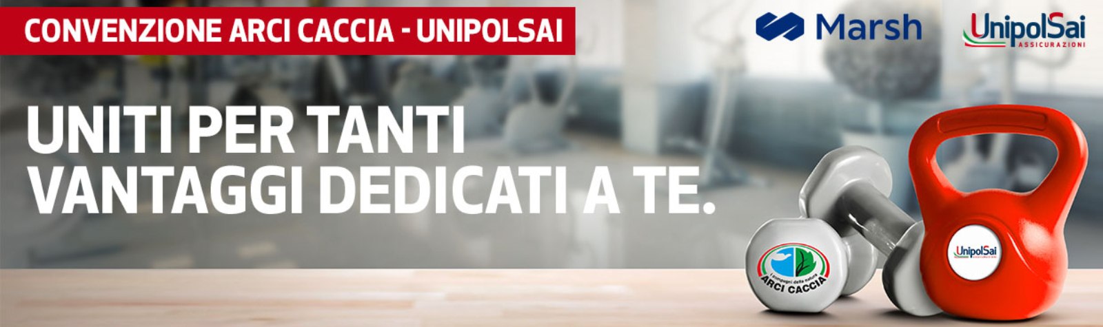 UnipolSai